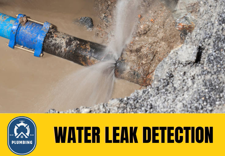 leak detection Higham
